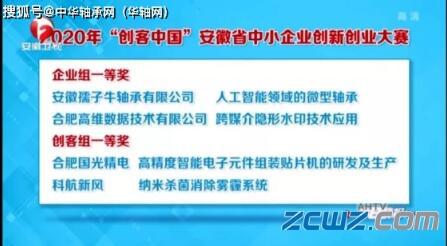 孺子牛軸承獲“創(chuàng)客中國”安徽總決賽企業(yè)組一等獎