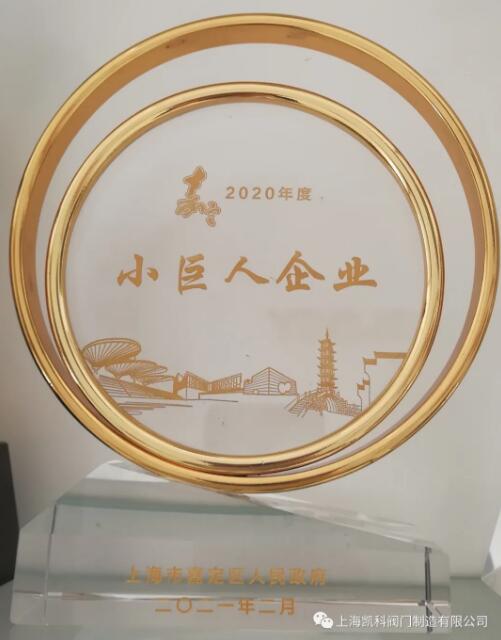 凱科閥門(mén)入選2020年度嘉定區(qū)小巨人計(jì)劃獎(jiǎng)勵(lì)企業(yè)名單