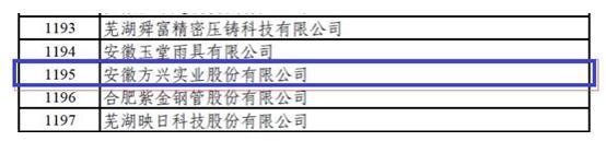 安徽方興實(shí)業(yè)股份有限公司入選國家專精特新“小巨人”企業(yè)