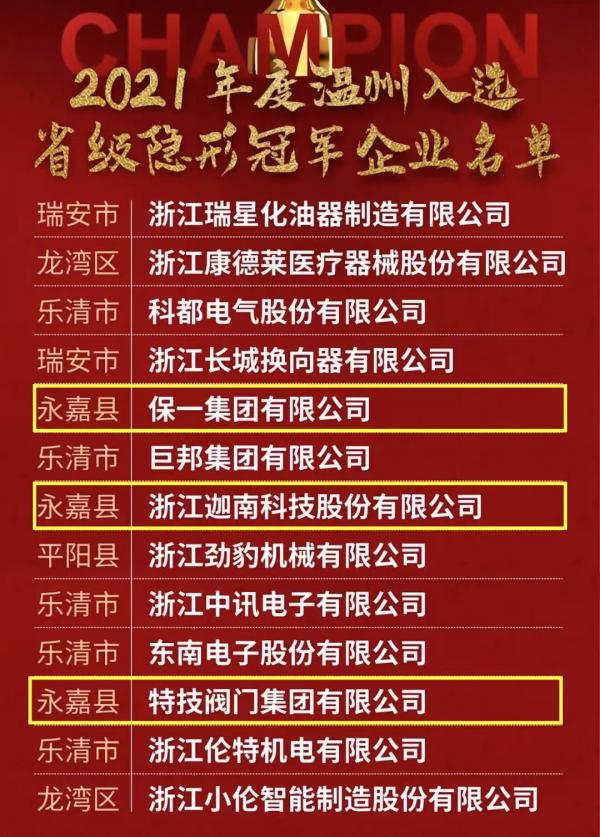 贊,！永嘉省級(jí)“隱形冠軍”企業(yè)增加為9家,，位列全省縣級(jí)第二，山區(qū)26縣第一,！