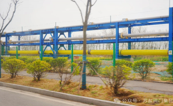 蘇鹽創(chuàng)新打造高端低溫球閥 助力濱海LNG項目邁向零碳示范標(biāo)桿